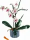 LEGO Botanicals Orchid #4