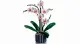 LEGO Botanicals Orchid #5