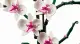 LEGO Botanicals Orchid #6