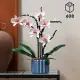 LEGO Botanicals Orchid
