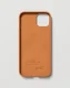 NUDIENT Bold Case #2