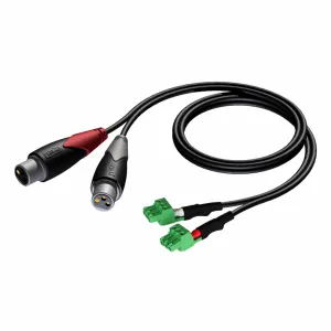 AUDAC CLA835