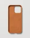 NUDIENT Bold Case #2
