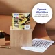 Epson Pen and crossword C13T16324012 #3