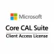 Microsoft Core CAL