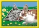 Ravensburger 20074 #2