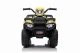 LEAN Cars 13553