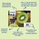 Epson Kiwi 202XL