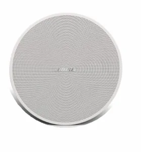 Bose DesignMax DM3C