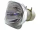 Codalux CL-6217-BO/P