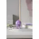 Hoptimist 35788 #10