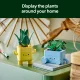 LEGO Botanicals Happy Plants #21