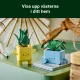 LEGO Botanicals Happy Plants #9