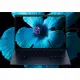 HP EliteBook EBXG1i14AI U7 258V 14 32GB/1T PC NX #8