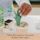 Fisher-Price Wooden Herb Set #3