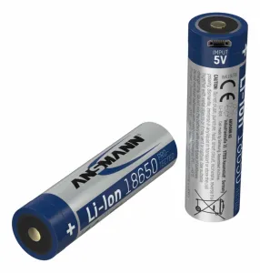 Ansmann 1307-0003