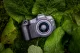Canon EOS R8 #10
