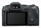 Canon EOS R8 #3
