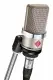 Neumann TLM 102 #2