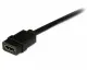 StarTech.com HDEXT2M #2