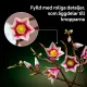LEGO Botanicals 11510 #8