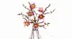 LEGO Botanicals 11510 #5