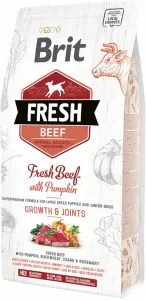 Brit Fresh Beef with Pumpkin