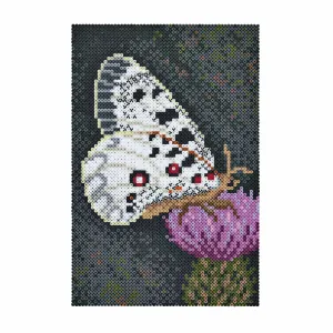 Hama 00003605
