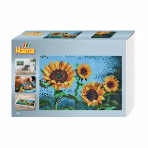 Hama 00003608