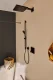 Hansgrohe 26238670 #3