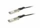 ALLNET SFP+/SFP+, 10Gbit, 7m #1