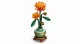 LEGO Botanicals Chrysanthemum #7