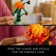 LEGO Botanicals Chrysanthemum #15