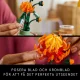 LEGO Botanicals Chrysanthemum #6