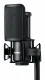 Shure SM4-K #2