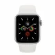 Apple Watch Series 5