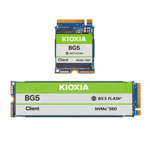 Kioxia KBG50ZNV256G