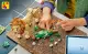 LEGO Creator Wild Animals: Majestic Lion #12