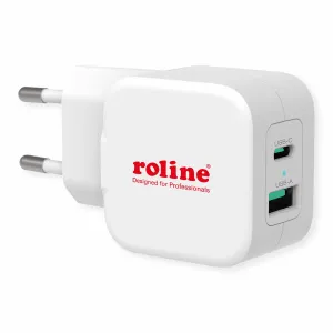 ROLINE 19111052