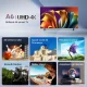 Hisense 55A6N #3