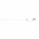 Black Box CAT6PC-002-WH