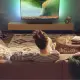 Philips 5300 series TAB5309/10 #55