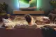 Philips 5300 series TAB5309/10 #9