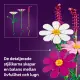 LEGO Botanicals 11514 #3