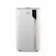 De’Longhi Pinguino PAC EX93 Extreme
