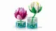 LEGO Botanicals 11511 #7