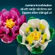 LEGO Botanicals 11511 #9