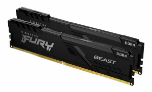 Kingston Technology FURY Beast