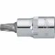 Vigor V2157 #2
