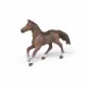 Papo Anglo-Arab Mare #3